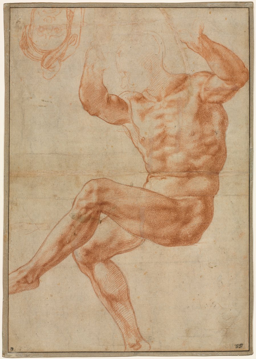 Studera för naken ungdomar över profeten Daniel (recto) av Michelangelo Buonarroti