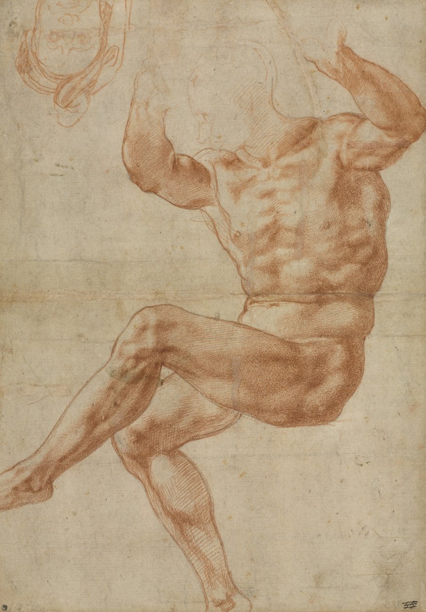 Studera för den nakna ungdomen över profeten Daniel, för det sixtinska taket, 1510-11 av Michelangelo Buonarroti