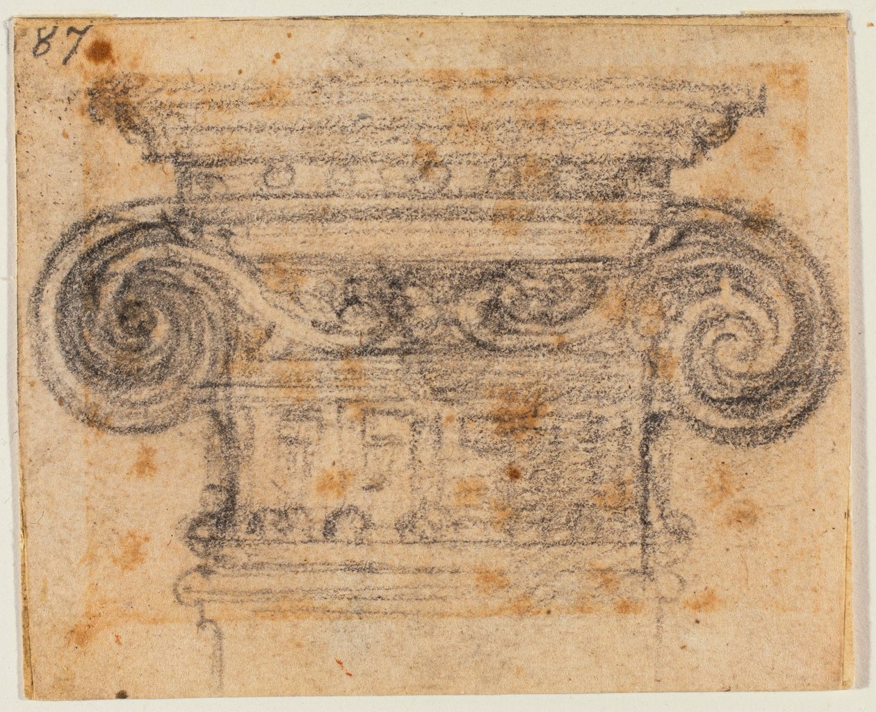 Studie av joniskt kapital av Michelangelo Buonarroti