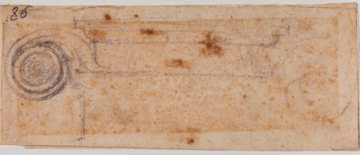Studie av joniskt kapital av Michelangelo Buonarroti