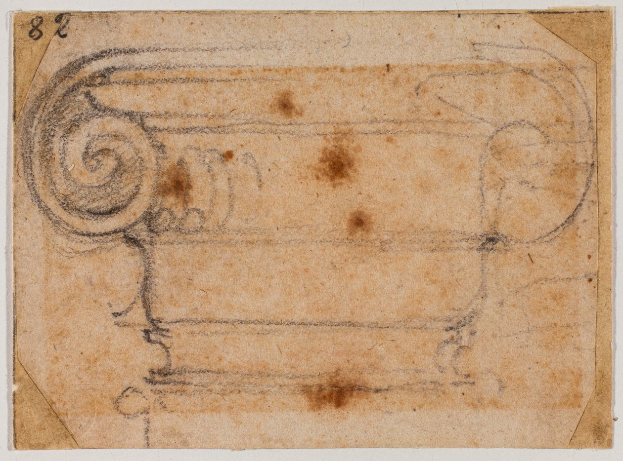 Studie av joniskt kapital av Michelangelo Buonarroti