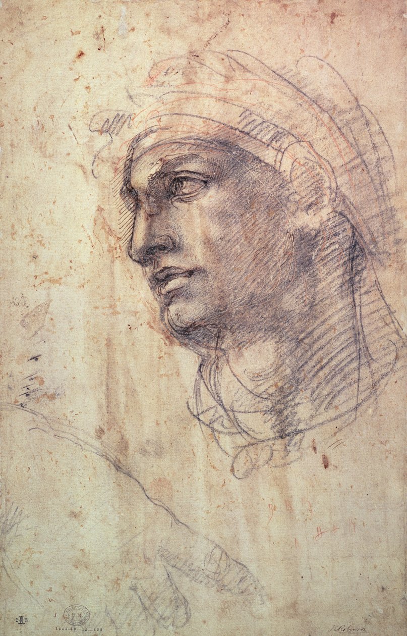 Studie av ett huvud (kol på papper) av Michelangelo Buonarroti