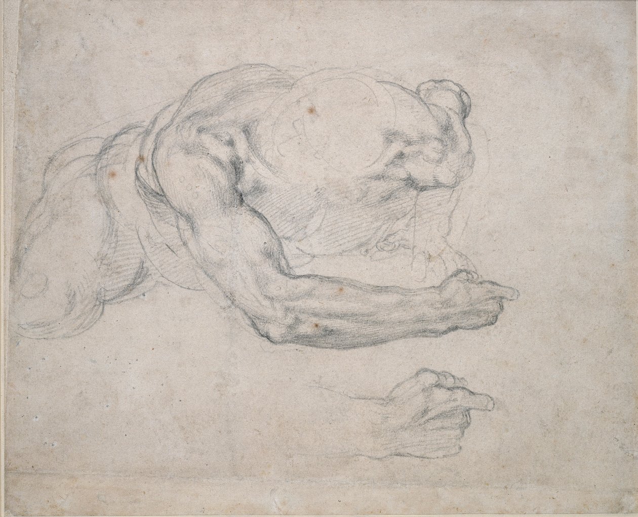 Studie av en man som reser sig från marken, 1500-talet av Michelangelo Buonarroti