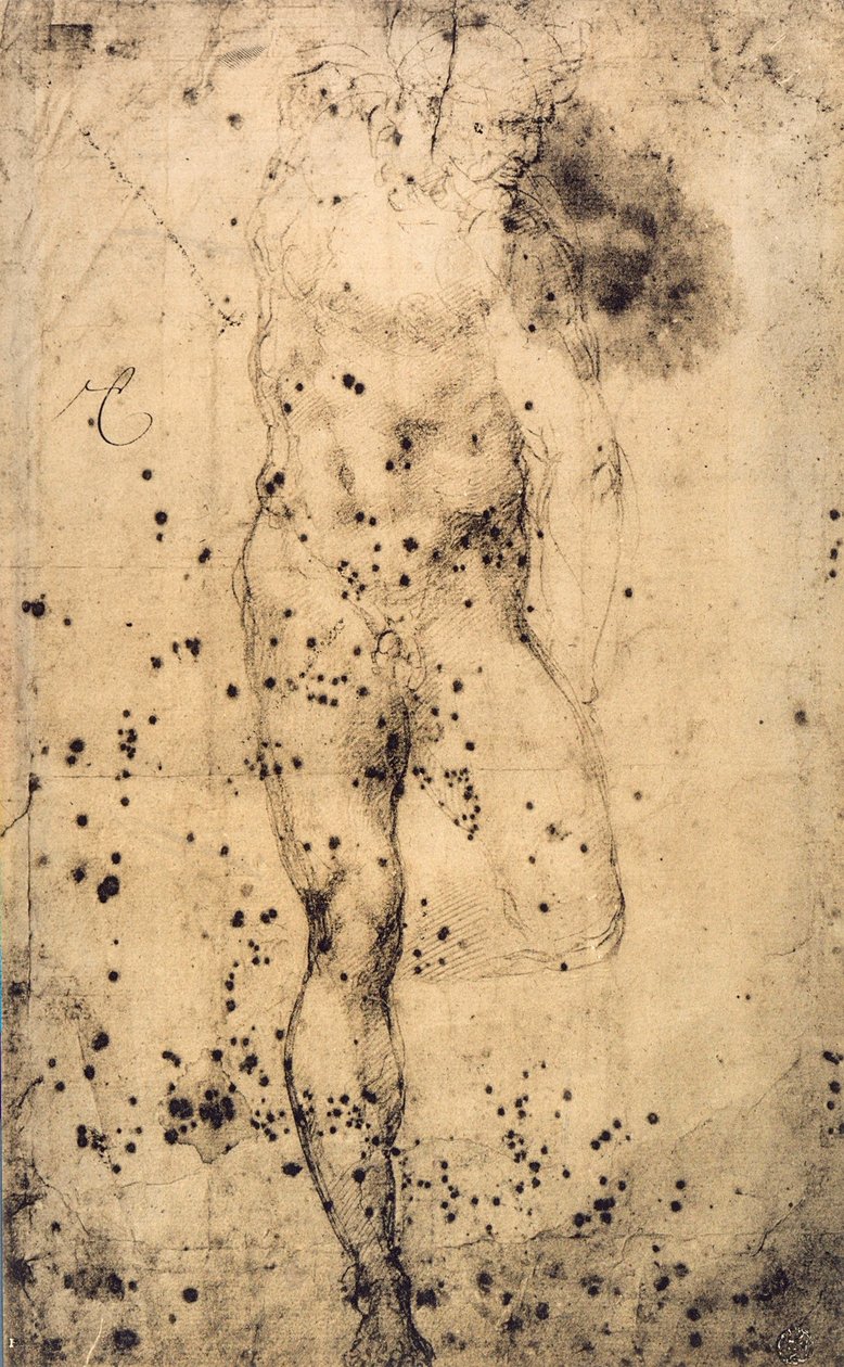 Studie av en manlig naken med ett upphöjt vänsterben; teckning av Michelangelo. Louvren, Paris av Michelangelo Buonarroti