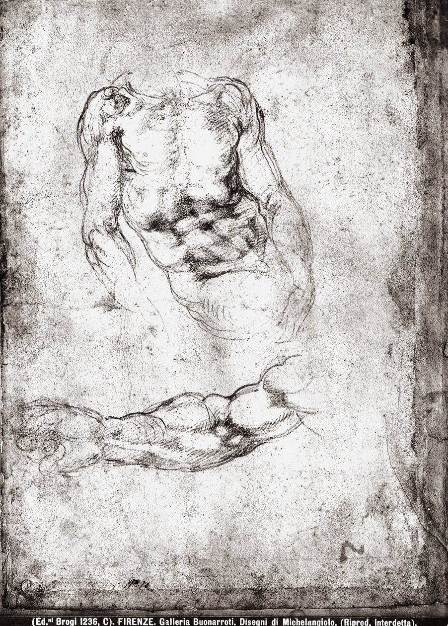 Studie av en manlig torso och arm av Michelangelo Buonarroti
