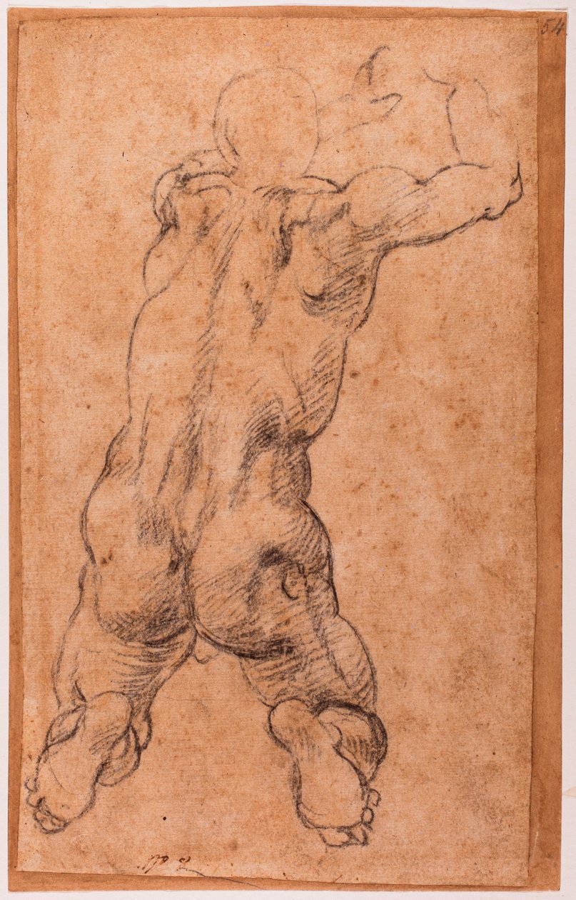 Studie av knäböjande manlig naken av Michelangelo Buonarroti