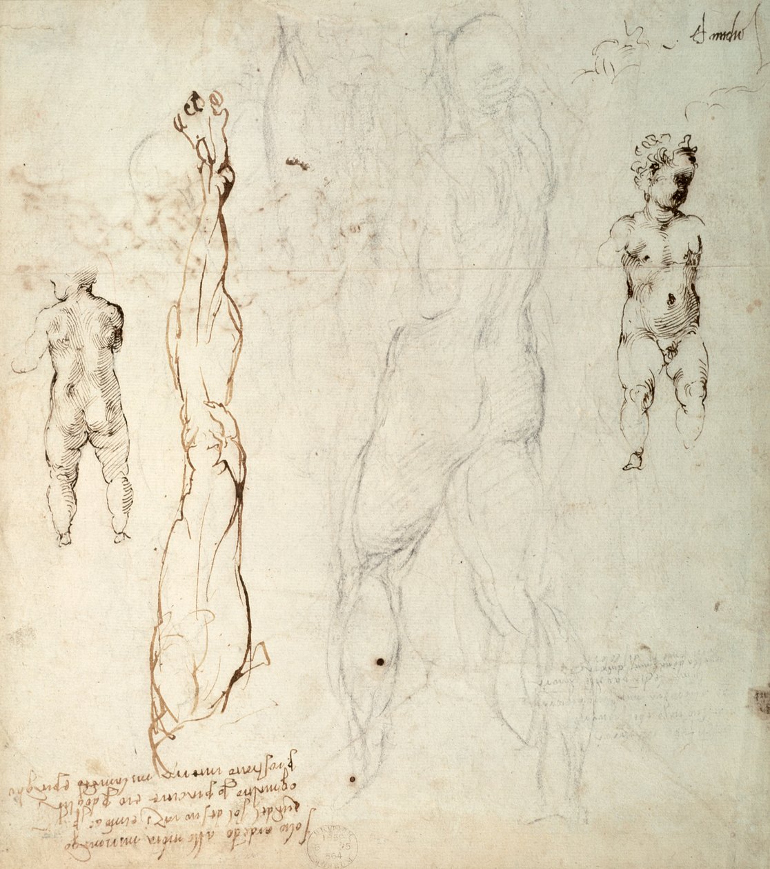 Studie av Kristusbarnet och en anatomisk teckning med anteckningar (svart krita och brunt bläck på papper) (verso) av Michelangelo Buonarroti