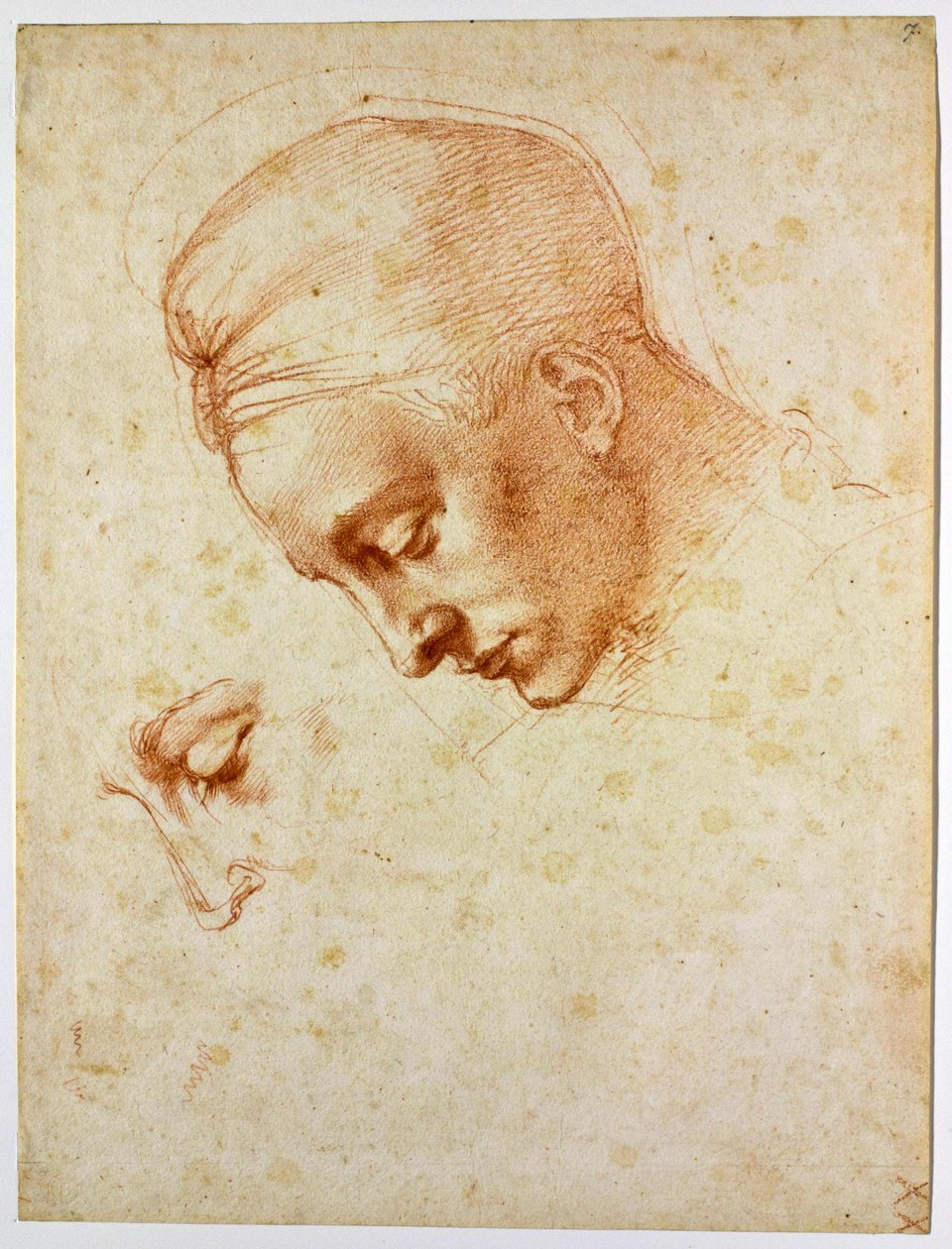 Studera till chefen för Leda, ca 1530 av Michelangelo Buonarroti