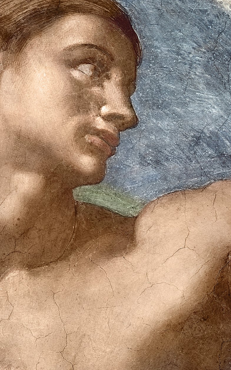 Skapelsen av Adam, detalj av Adams huvud av Michelangelo Buonarroti