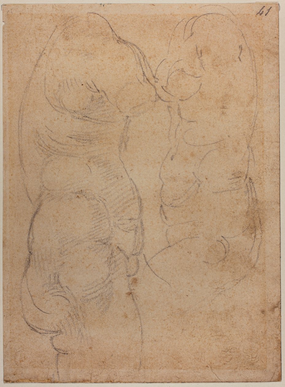 Två studier av en antik Venus av Michelangelo Buonarroti