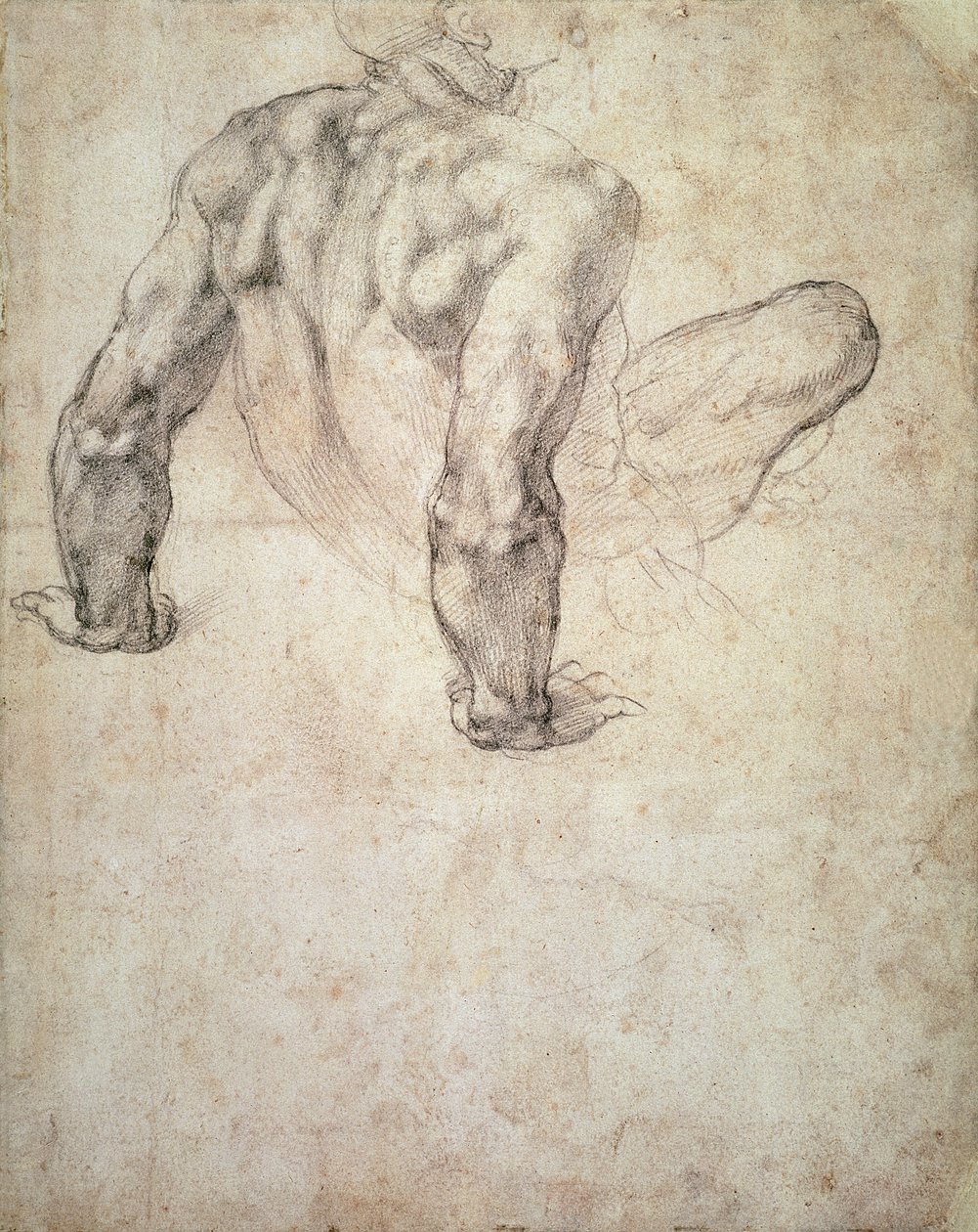 W.63r Studie av en naken man som lutar sig tillbaka på sina händer av Michelangelo Buonarroti