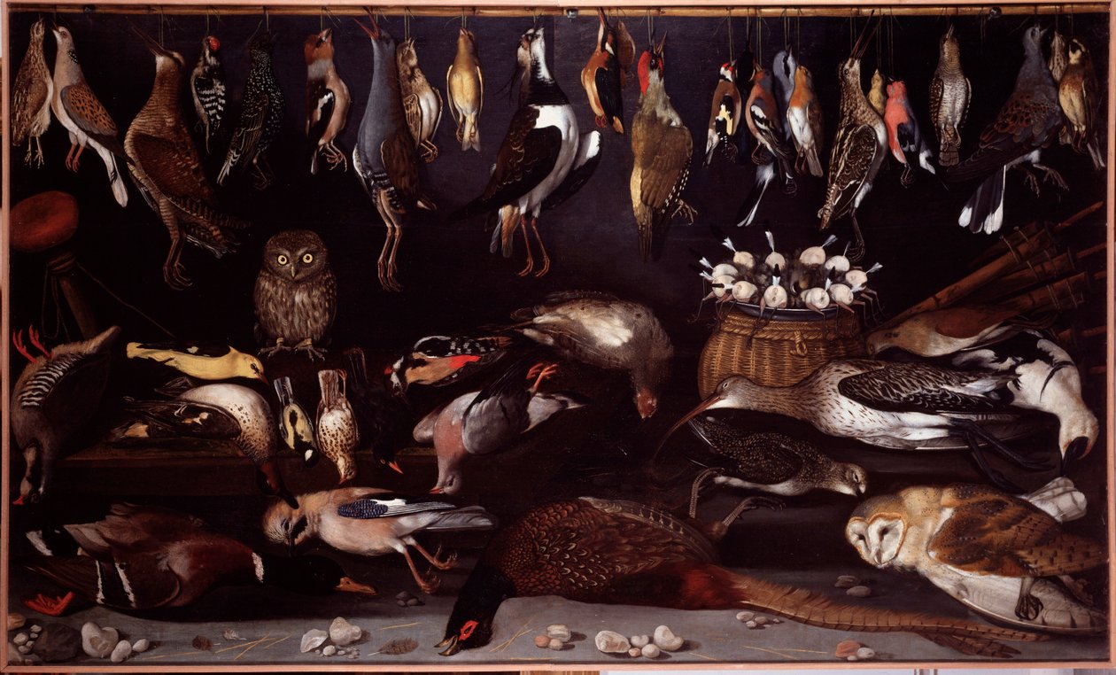 Stilleben med fåglar (fågel) Målning tillskriven Michelangelo Merisi dit Caravaggio (Caravaggio) (1571-1610) Rom Galleria Borghese av Michelangelo Merisi da (attr. to) Caravaggio