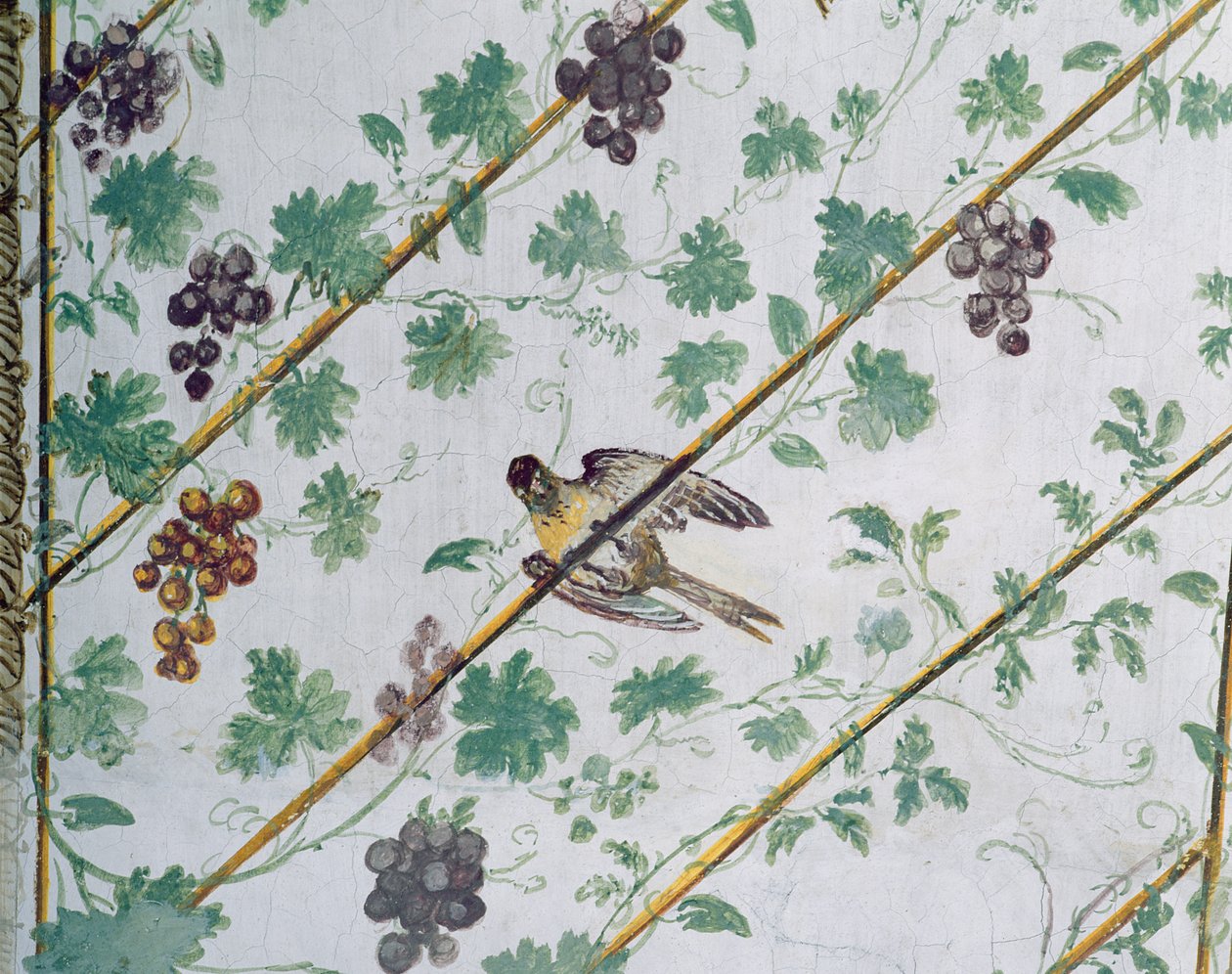 Detalj av valvet i källaren, Villa Medicea di Careggi foto av Michelozzo di Bartolommeo