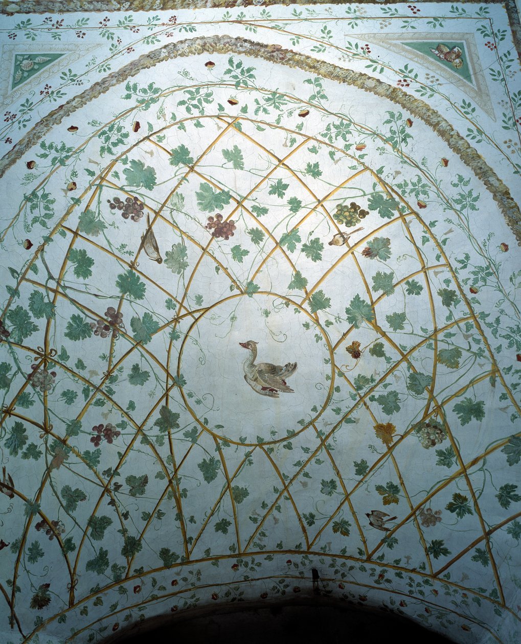 Utsikt över valvet i källaren, Villa Medicea di Careggi av Michelozzo di Bartolommeo