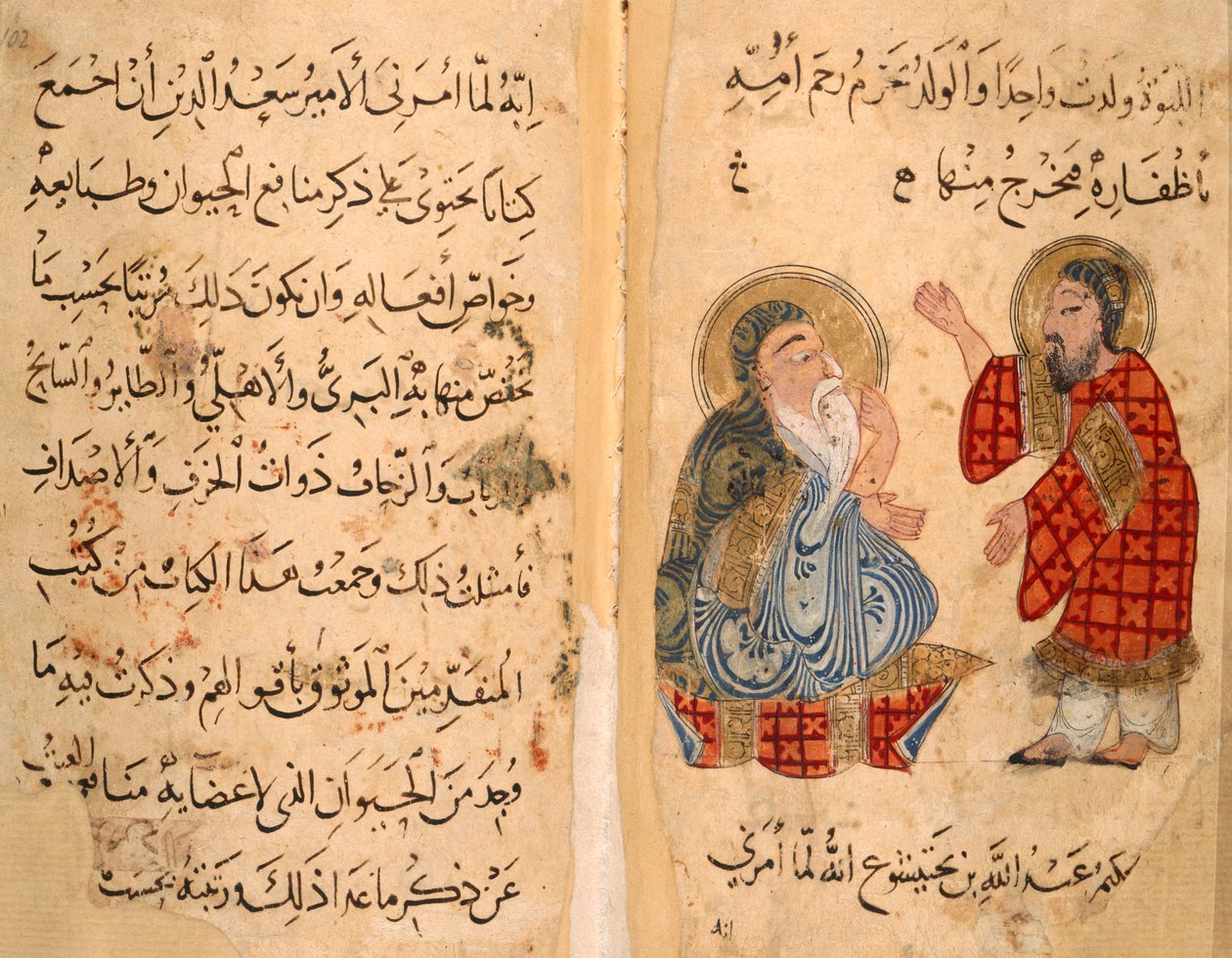 Eller. 2784, ff.101-101v Textsida, och mittemot, Ibn Bakhtishu och elev, illustration från 