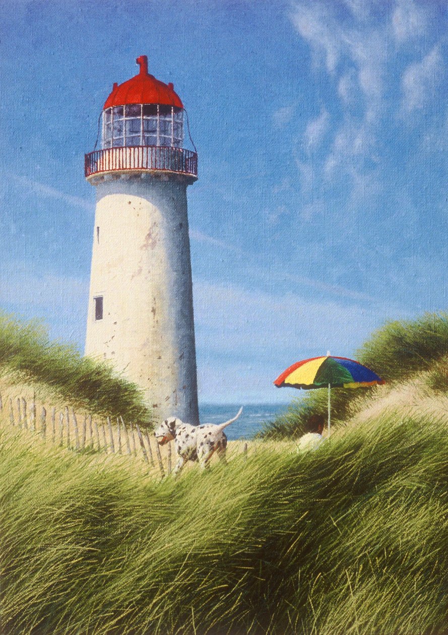 En dag i sanddynerna av Mike Briscoe