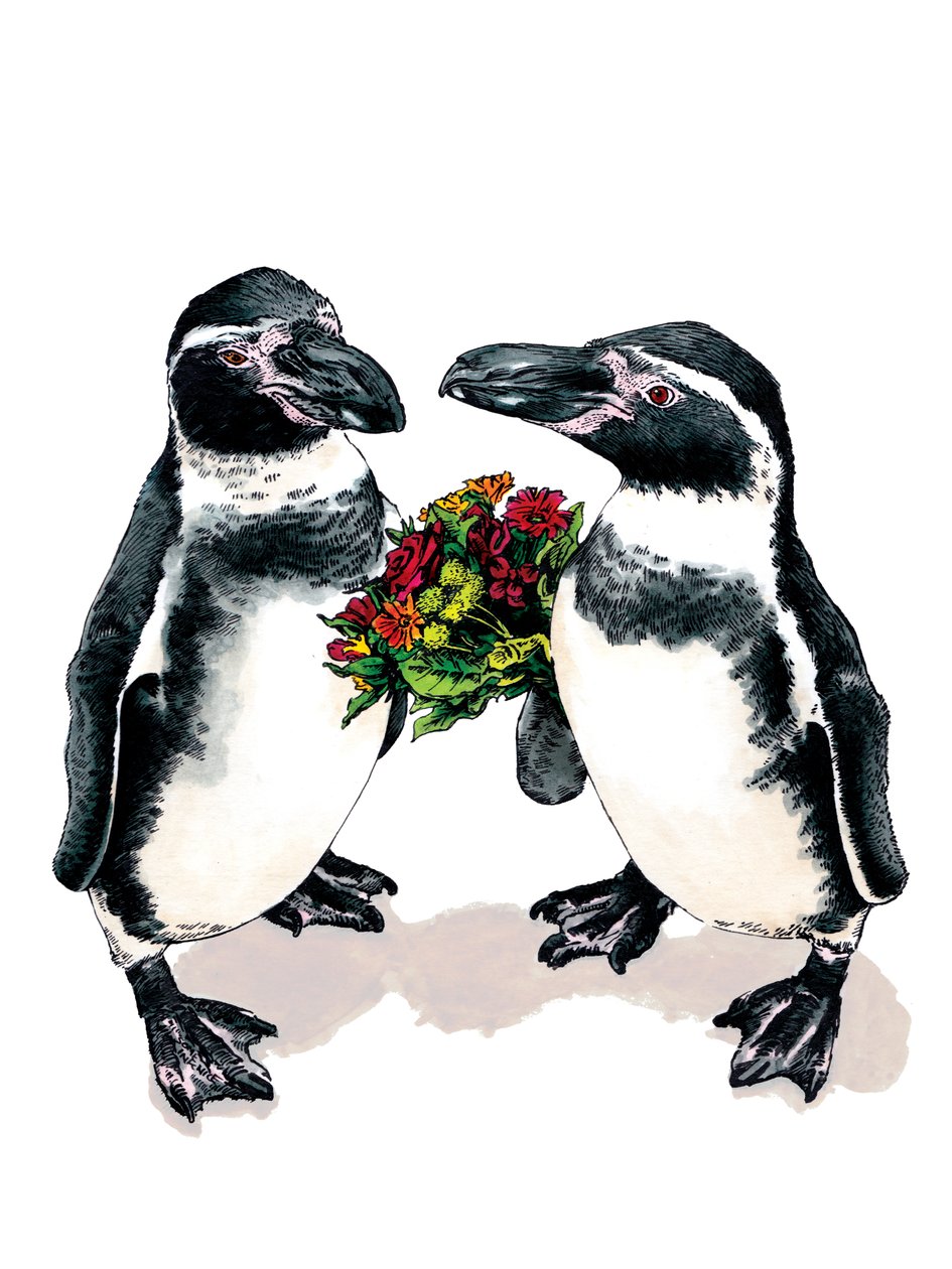Anniversary Penguins on White, 2020 av Mike Davis