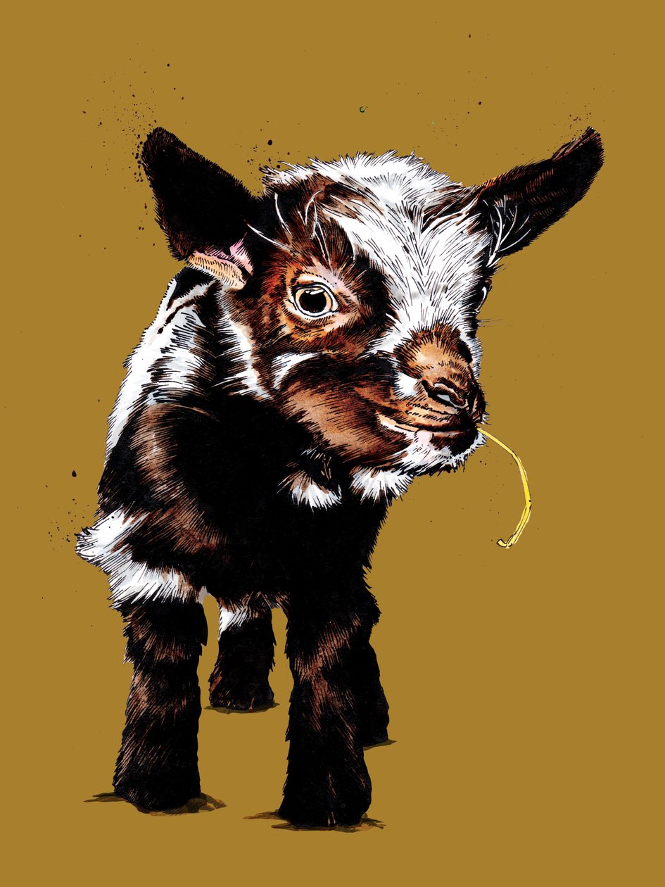 Baby get på Golden Yellow, 2020 av Mike Davis