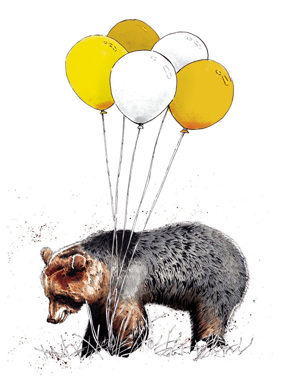 Birthday Bear on White, 2020 av Mike Davis