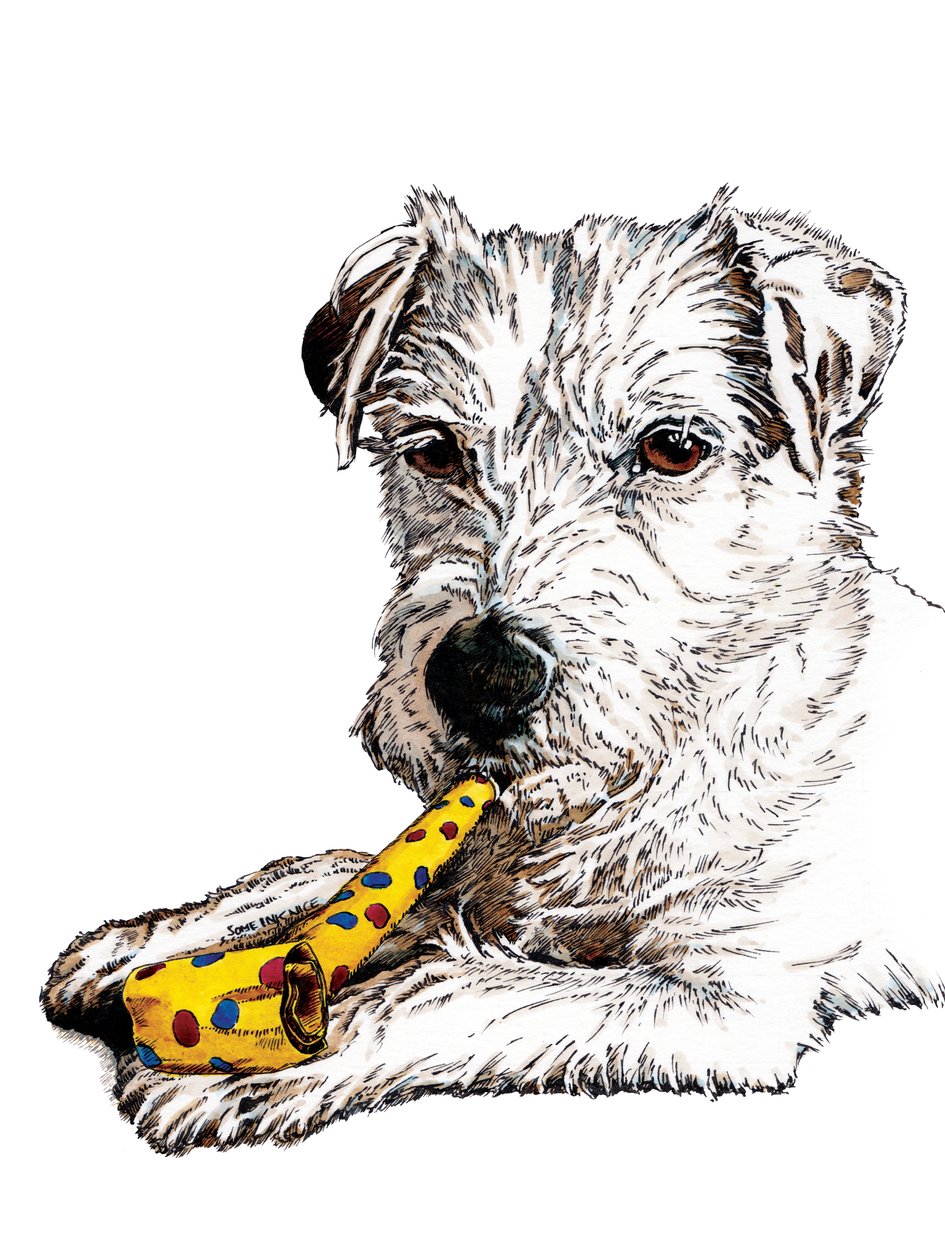 Födelsedag Parson Dog on White, 2020 av Mike Davis