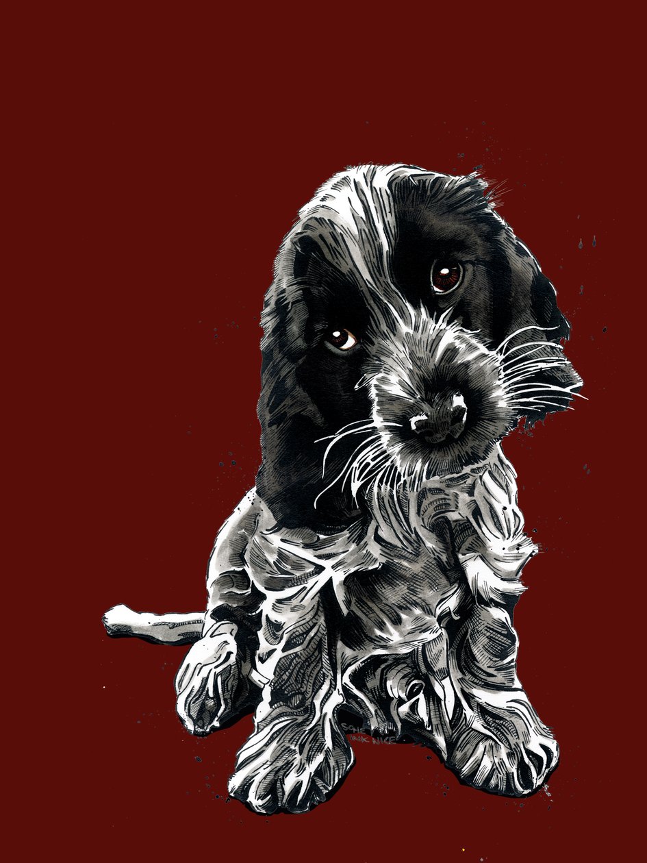 Rosie The Cocker Spaniel på röd oxid, 2020 av Mike Davis