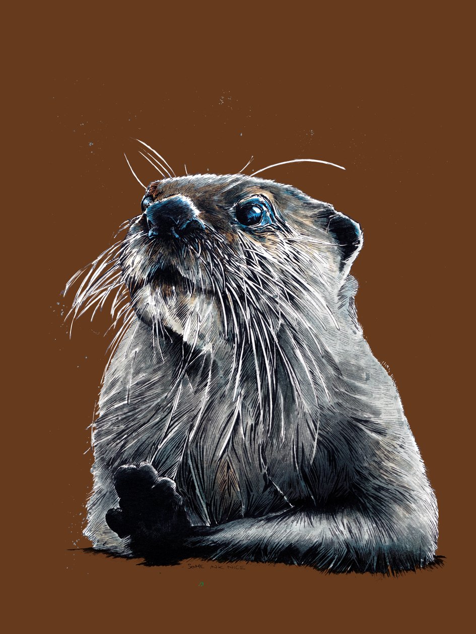 Otter on Burnt Orange, 2020 av Mike Davis