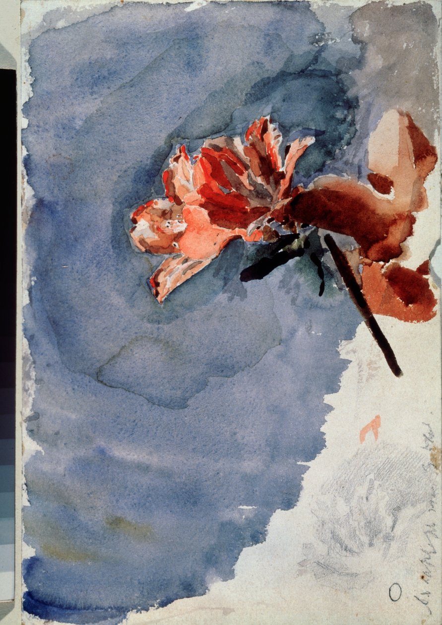 The Red Azalea (Red Azalea) - Konstverk av Mikhail Alexandrovich Vrubel (Vrubel) (1856-1910) akvarell på papper av Mikhail Aleksandrovich Vrubel