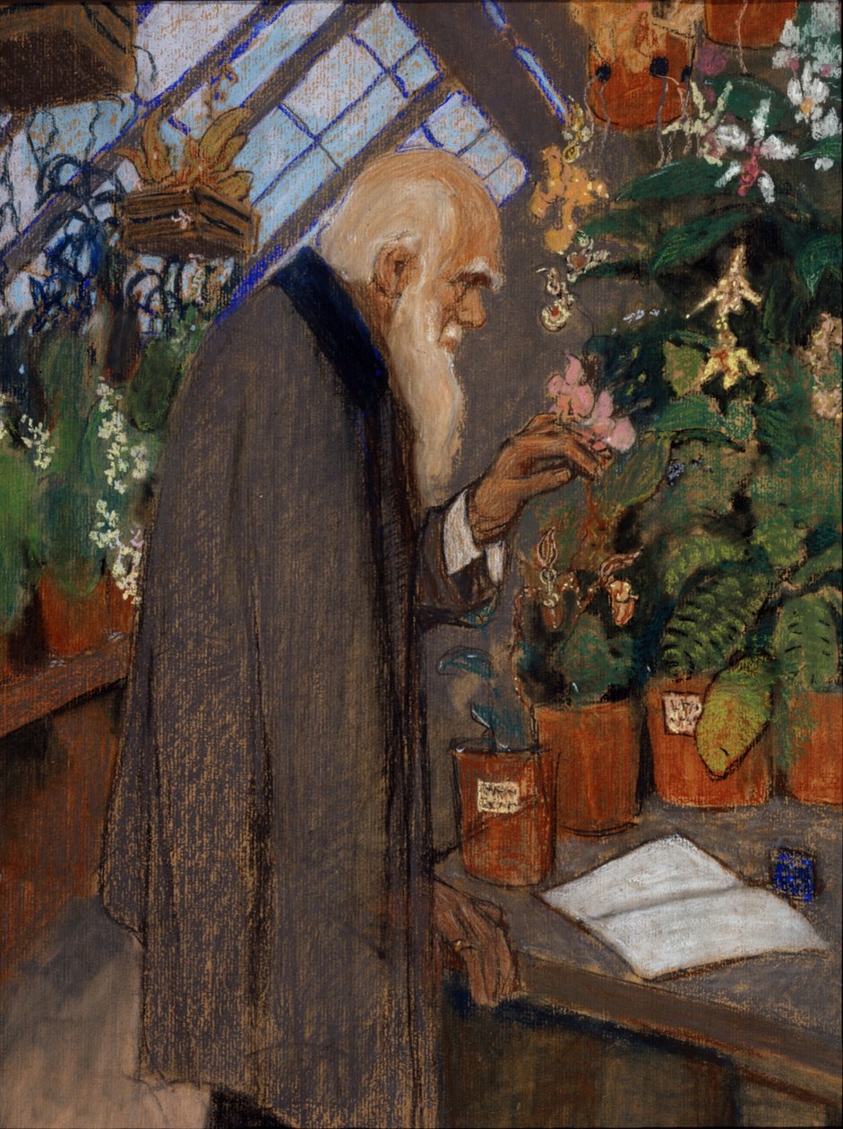""Porträtt av vetenskapsmannen Charles Robert Darwin (1809-1882) som undersöker växter i Langdon-Down-växthuset"" Målning av Mikhail Dmitrievich Ezuchevsky (1880-1928) 1920 State Darwin Museum, Moskva av Mikhail Dmitrievich Ezuchevsky