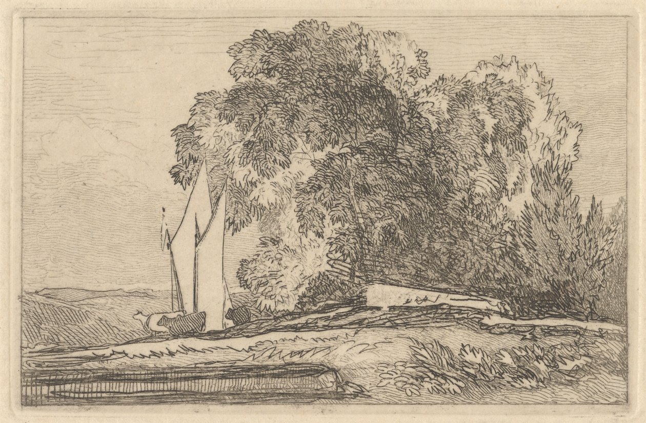 Studie av träd på stranden av Yare av Miles Edmund Cotman