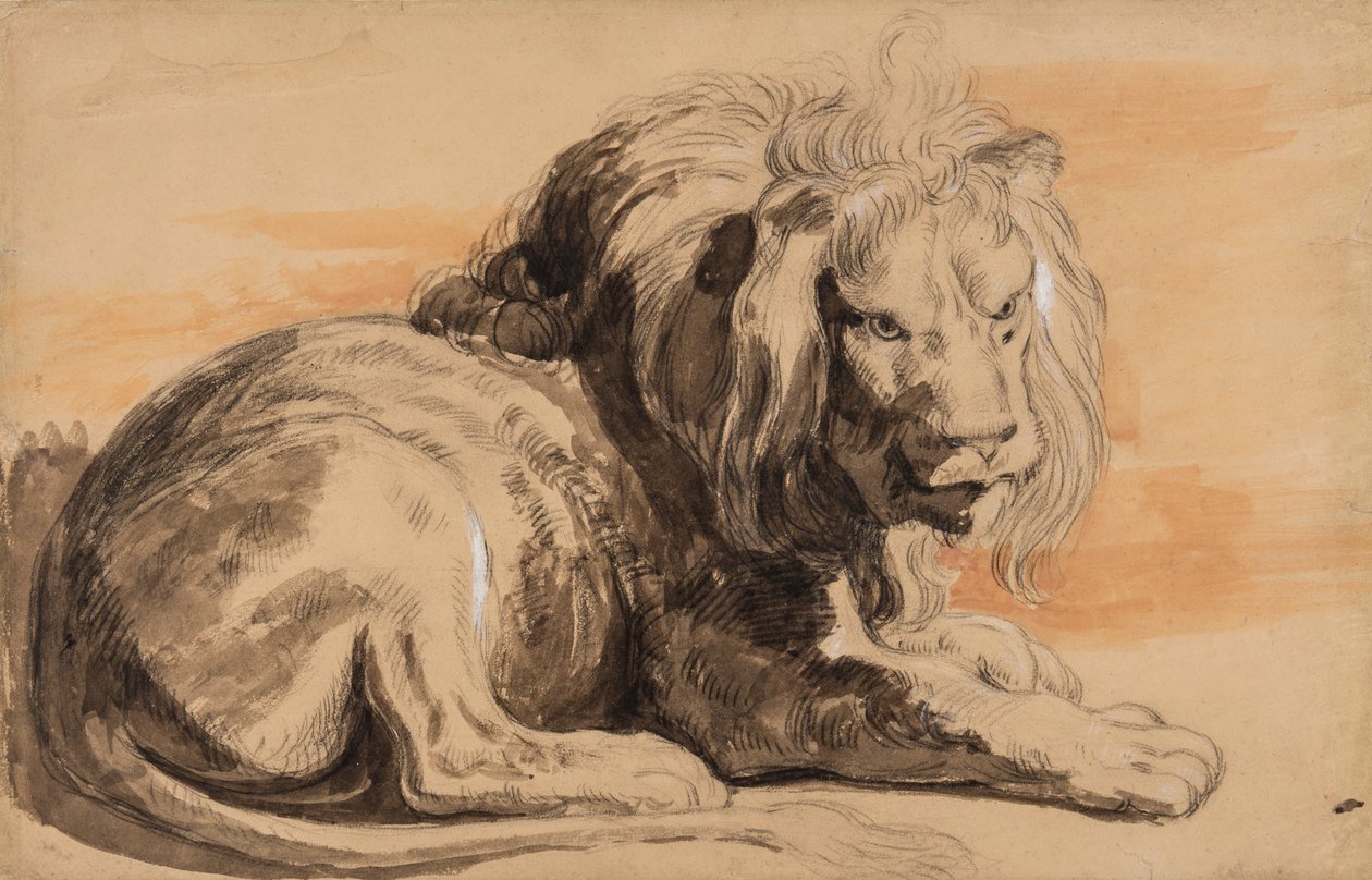 Rubens lejon, ca 1840 (krita, wc & gouache på brunt papper) av Miles Edmund Cotman