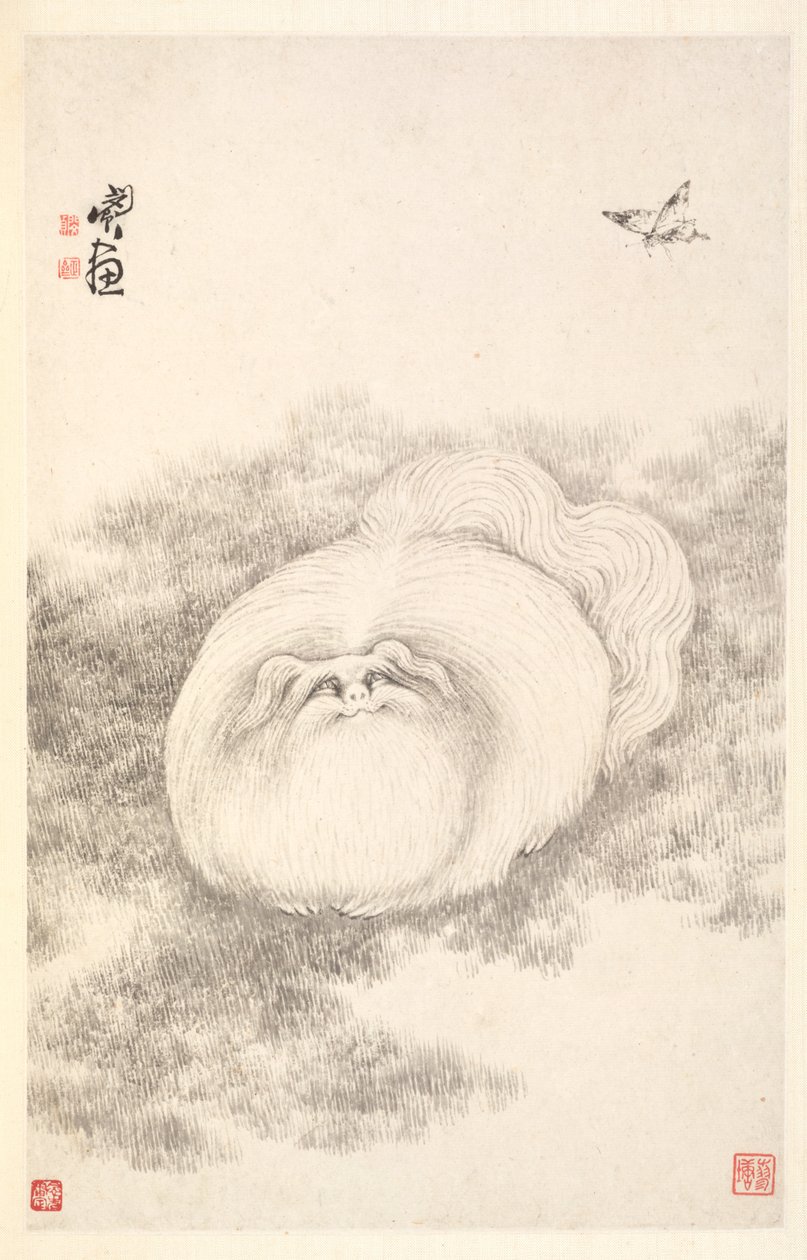 Katt och fjäril, 1788. av Min Zhen