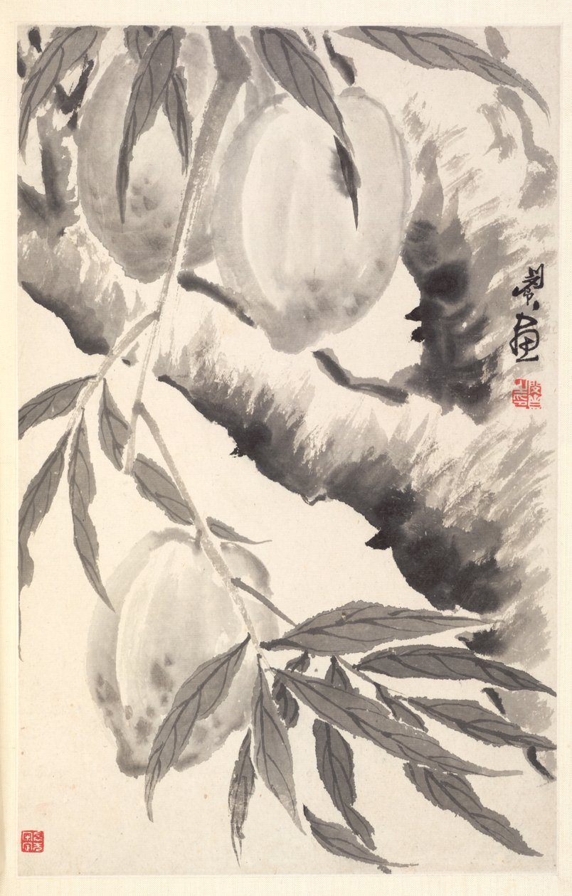Persikor av Min Zhen