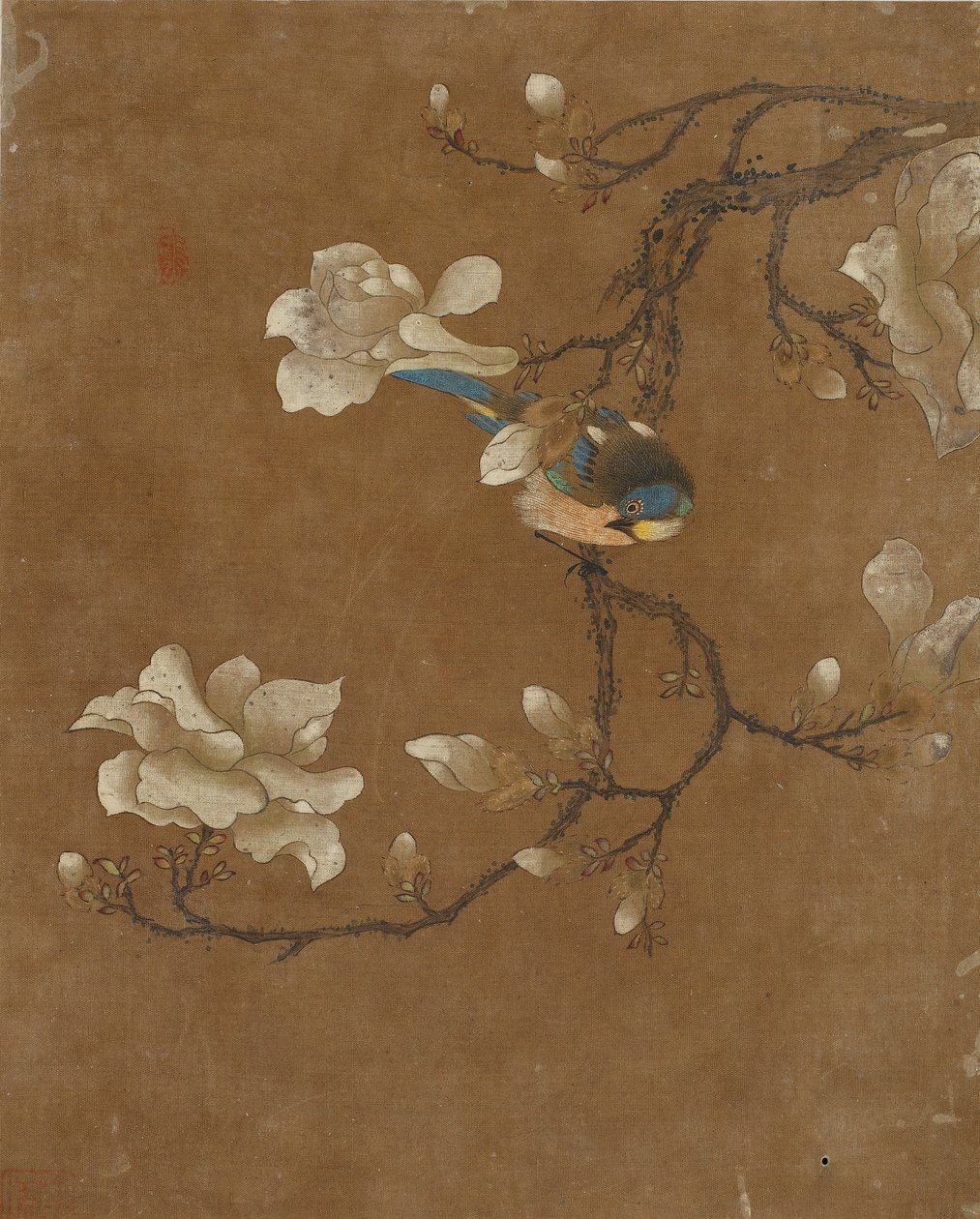 Tio bilder på fåglar och blommor (färg på siden) av Ming Dynasty Chinese School