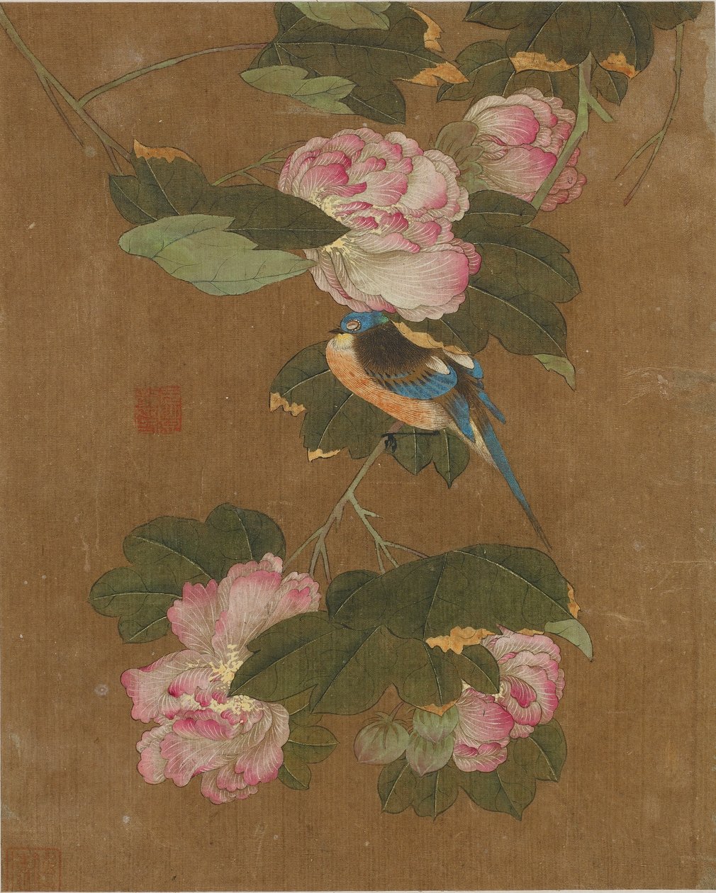 Tio bilder på fåglar och blommor (färg på siden) av Ming Dynasty Chinese School