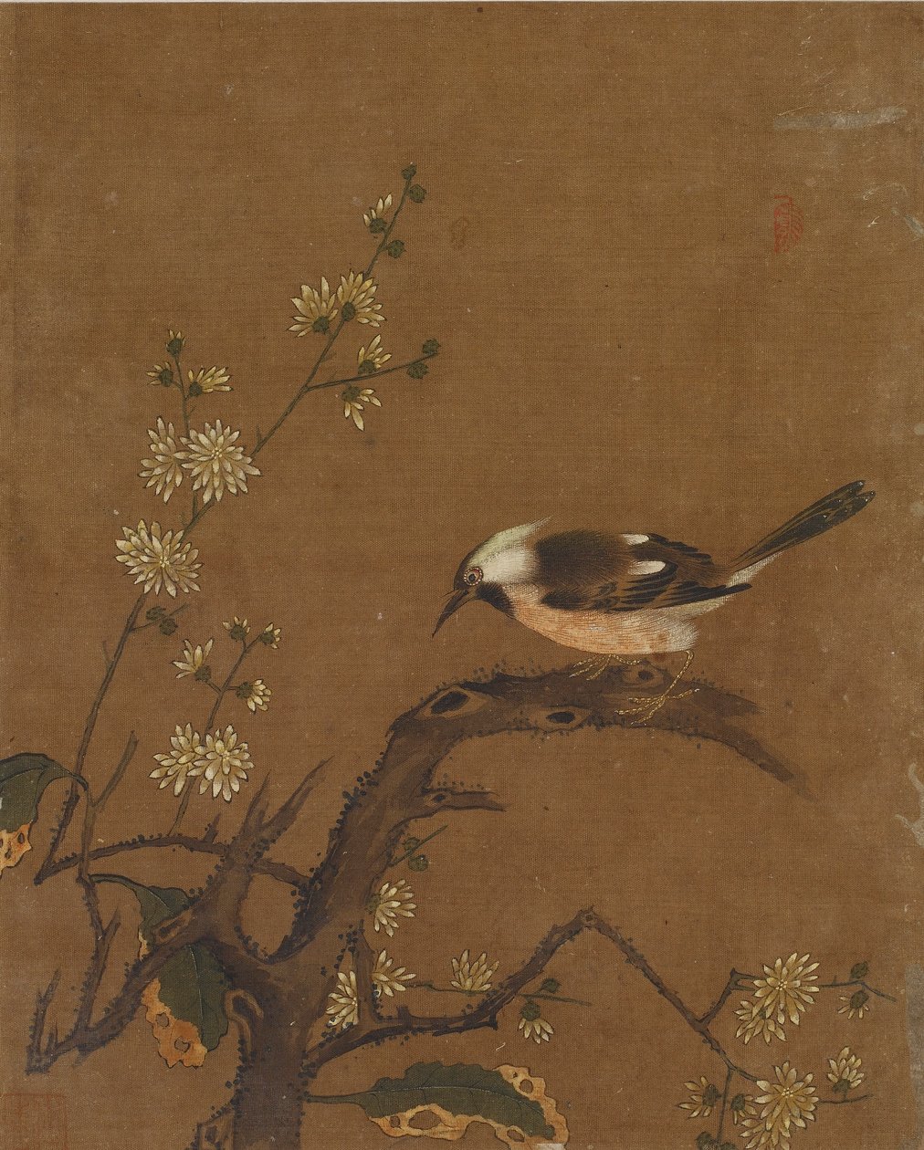 Tio bilder på fåglar och blommor (färg på siden) av Ming Dynasty Chinese School