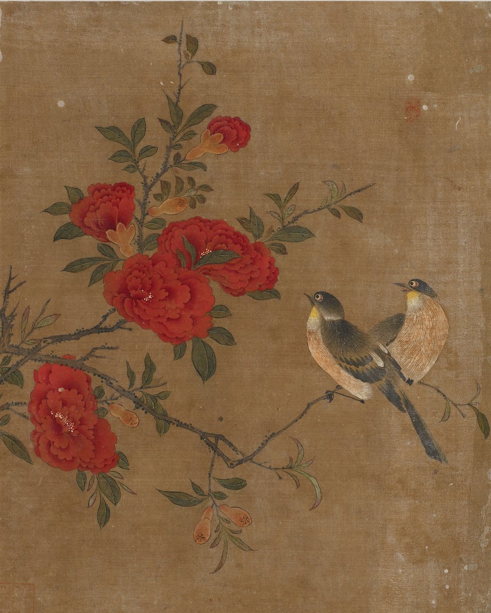 Tio bilder på fåglar och blommor (färg på siden) av Ming Dynasty Chinese School