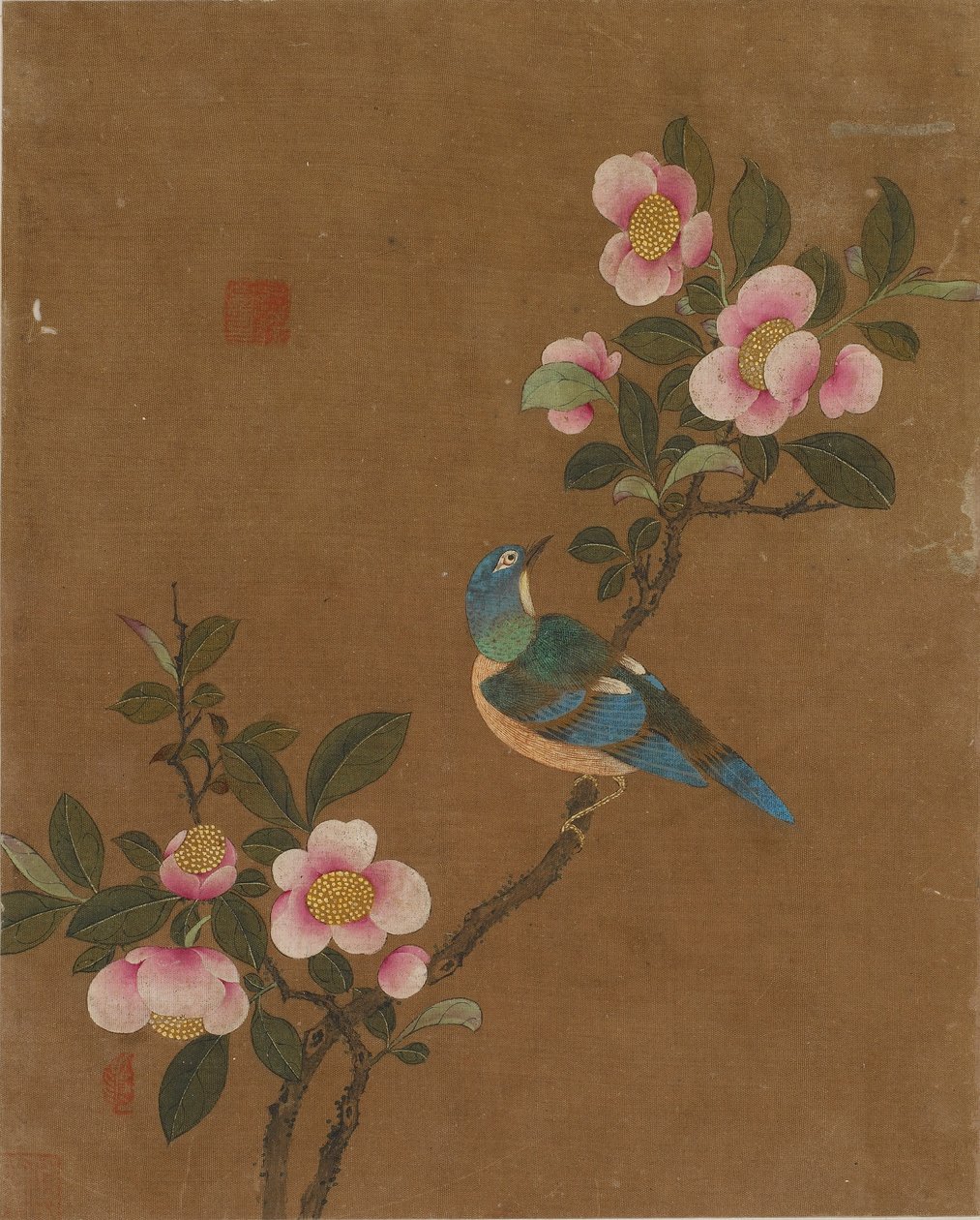 Tio bilder på fåglar och blommor (färg på siden) av Ming Dynasty Chinese School