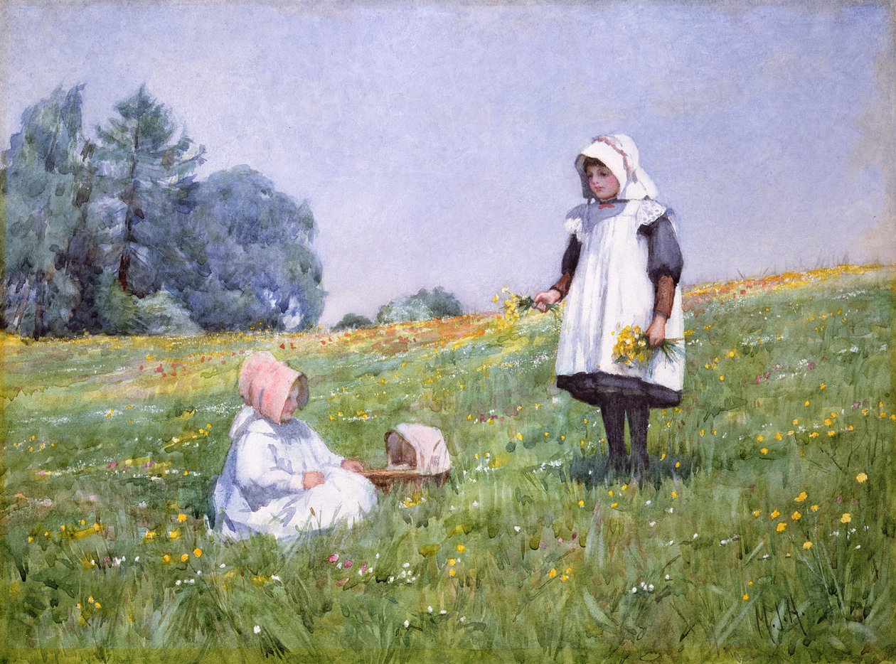 Smörblommor och prästkragar (wc på papper) av Minnie Jane Hardman