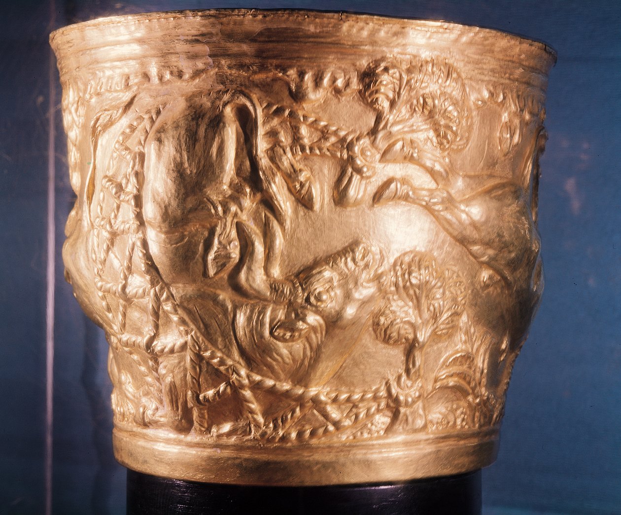 Bägare, föreställande fångsten av en vild tjur, funnen i Vaphios kungliga grav, Sparta, sent minoiska I, ca 1500 f.Kr. (guld) (se även 148823) av Minoan