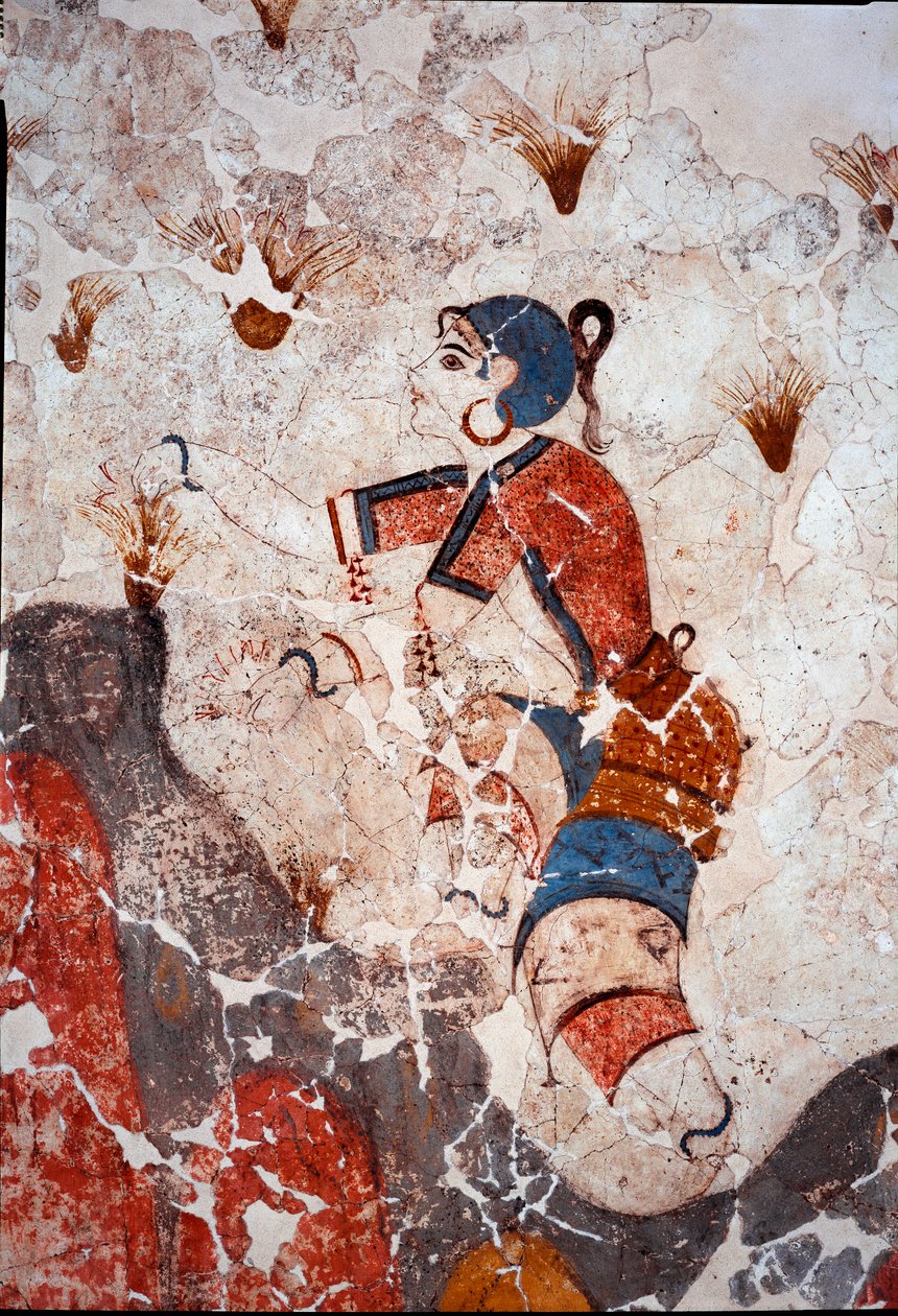Minoisk civilisation: kvinnor som plockar saffran. Detalj av en fresk från den lustrala bassängen Xeste 3 i Akrotiri (Thera), Santorini. Dämpa. 244x266 cm 1500-talet f.Kr. Santorini, Samling av fresker av Akrotiri a Thera - minoisk civilisation: kvinnor so av Minoan