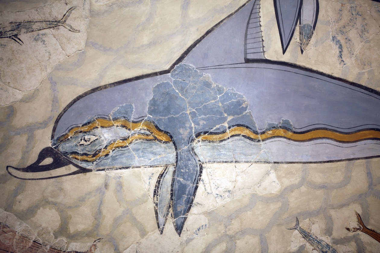minoisk konst. "Delfinfresken". Fresken dekorerade väggen eller golvet i en Hall ovanför Queen Megaron. Fresk rekonstruerad från fragment av originalverket som hittades i Knossos (1600 - 1450 f.Kr.). Arkeologiskt museum, Herakleion, Kreta. av Minoan