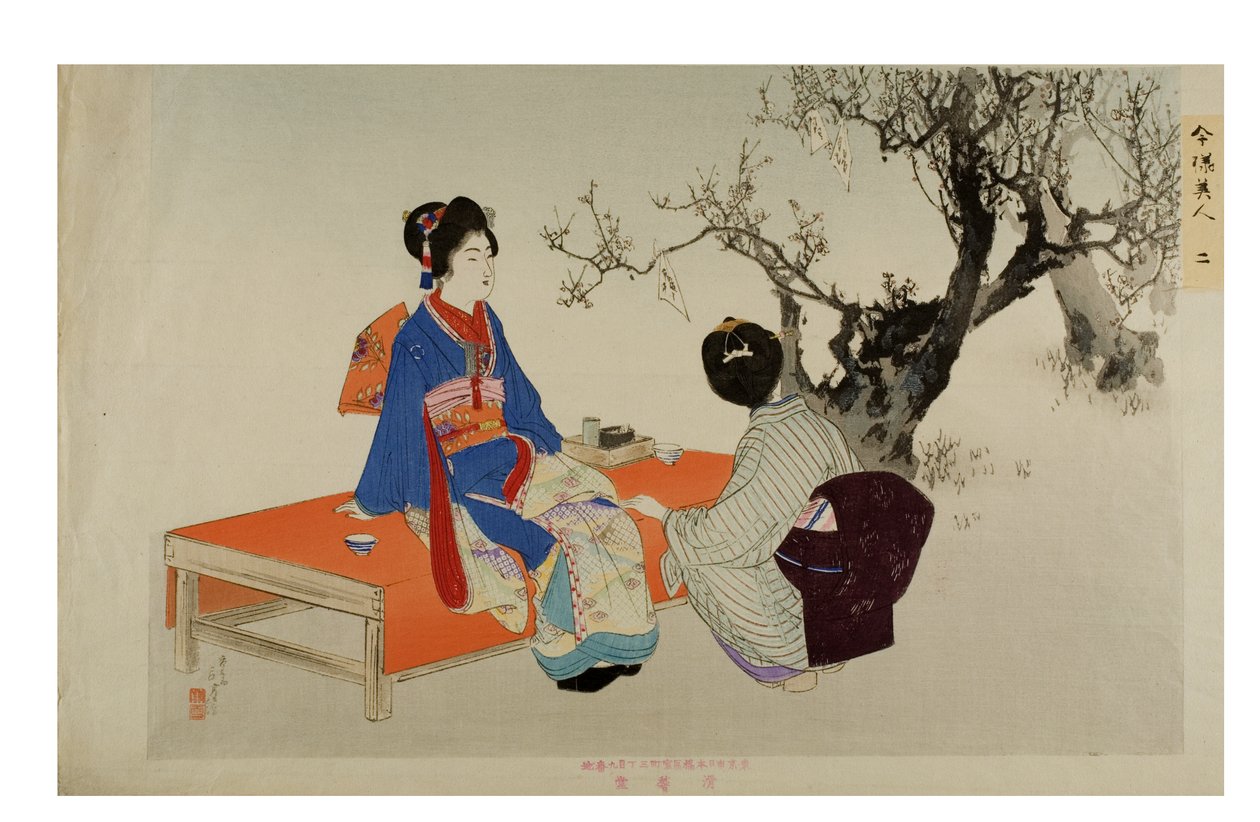  av Mizuno Toshikata