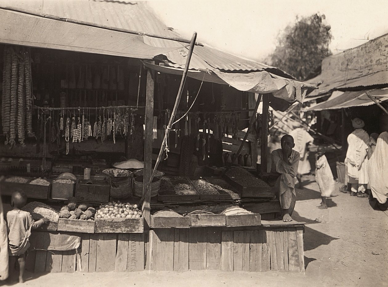 Bygga ett imperium i den fascistiska tidsåldern: inhemsk butik i Cheren, 1936-05-09 (s/v foto) av Modestino Baldinetti