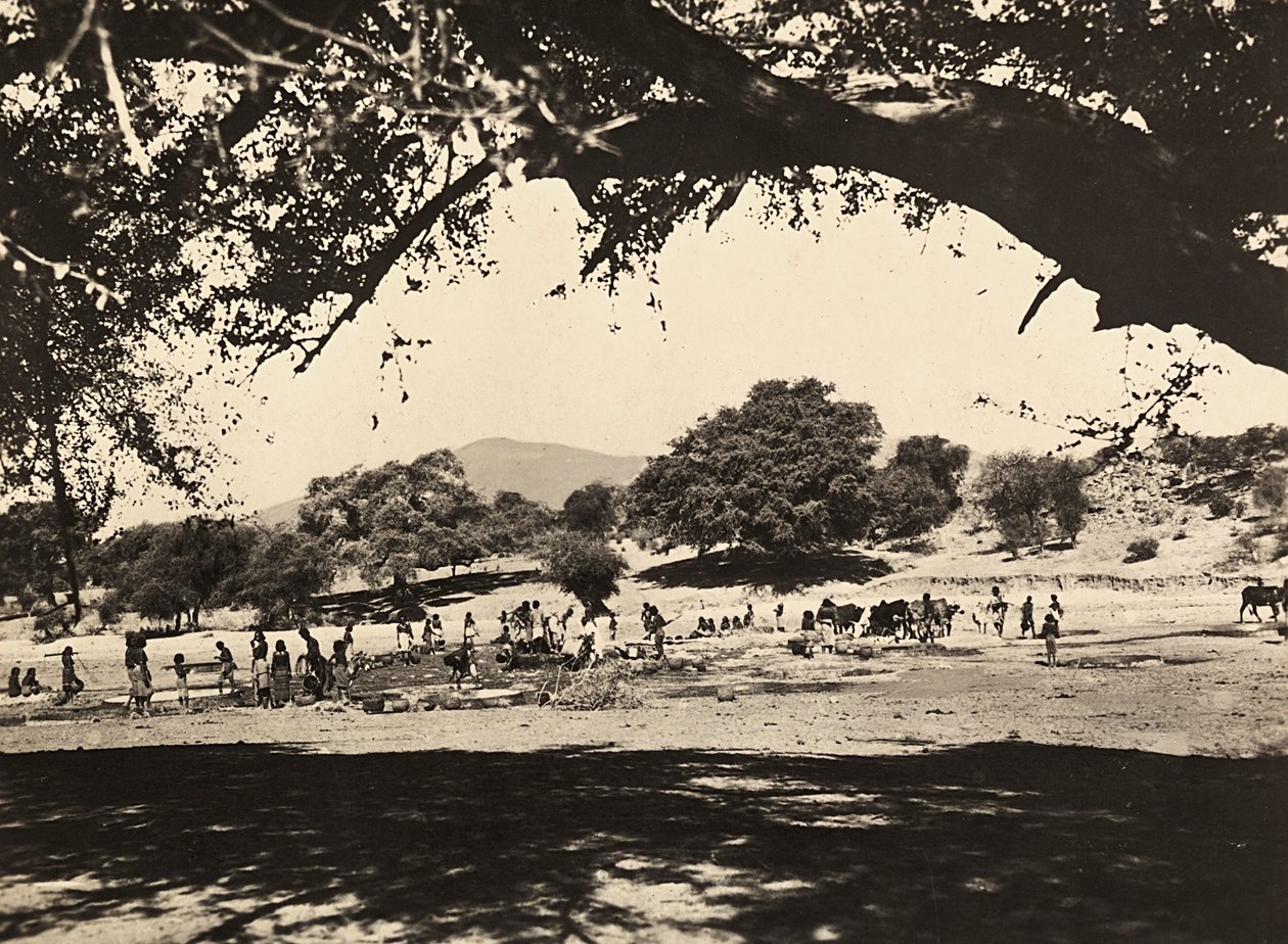 Att bygga ett imperium i den fascistiska tidsåldern: brunnar på den nedre slätten, 1936-05-09 (s/v foto) av Modestino Baldinetti