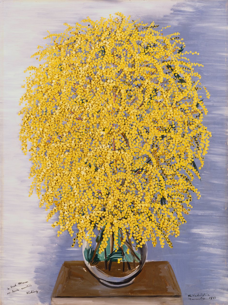 Mimosas av Moise Kisling