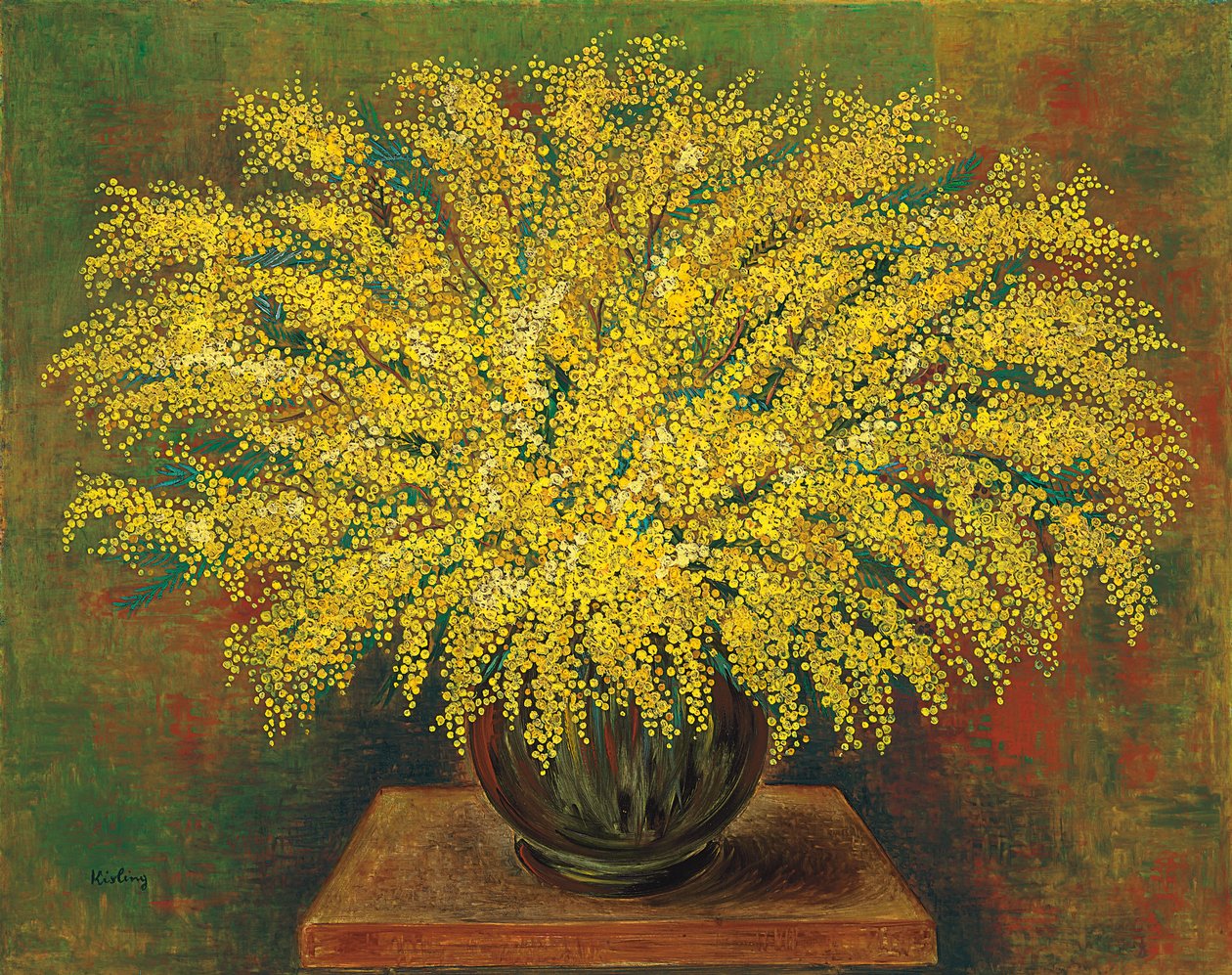 Mimosas av Moise Kisling