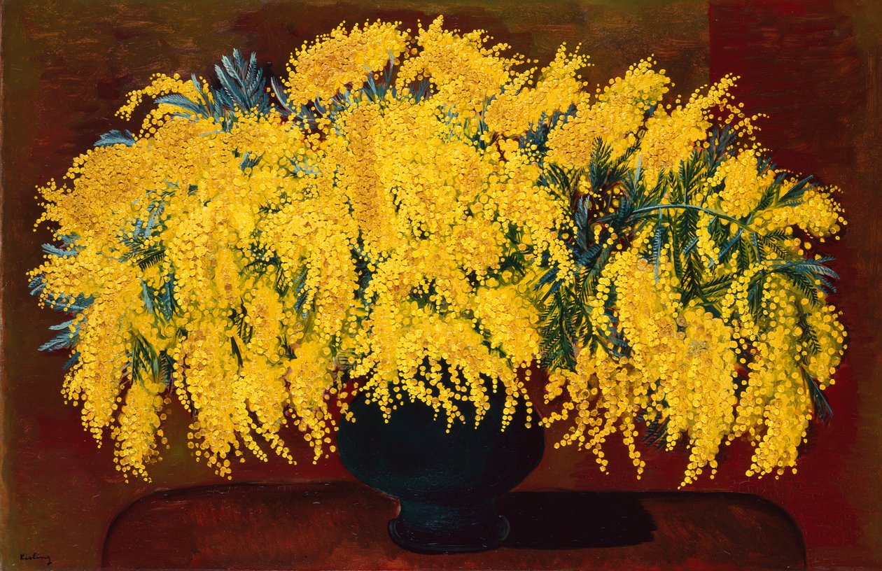 Mimosas av Moise Kisling