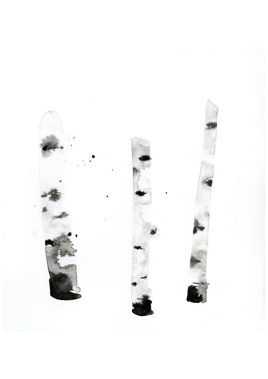 Ghost Birch, 2022 (akvarell på Langton, 300 g/m² kallpressat papper) av Monica Perez Vega