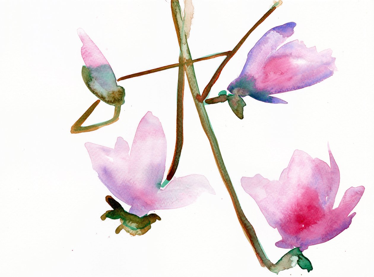 Magnolia 1, 2022 (akvarell på Langton, 300 g/m² kallpressat papper) av Monica Perez Vega