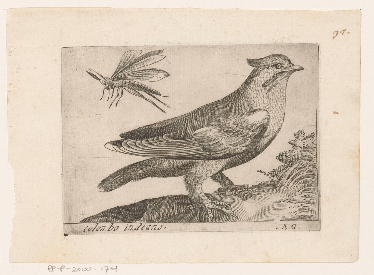 Pestvogel (Bombycilla garrulus) Colonbo indiano (titel på objekt) Vogels (serietitel) av Monogrammist AG